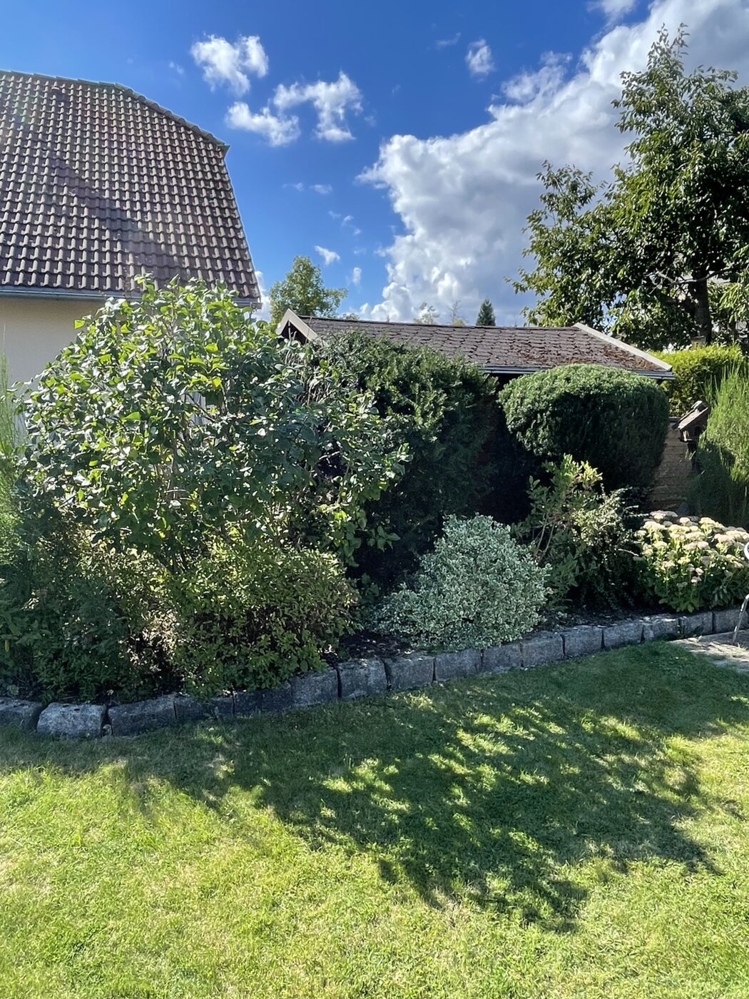 Gepflegter Garten nach dem Rückschnitt